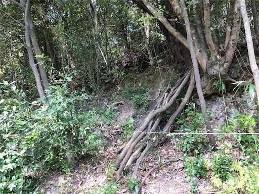 20181021005717 20181021005717