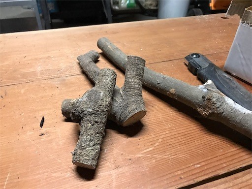 20190116210322 20190116210322