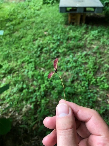 20190526185257 20190526185257