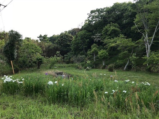 20190526185333 20190526185333