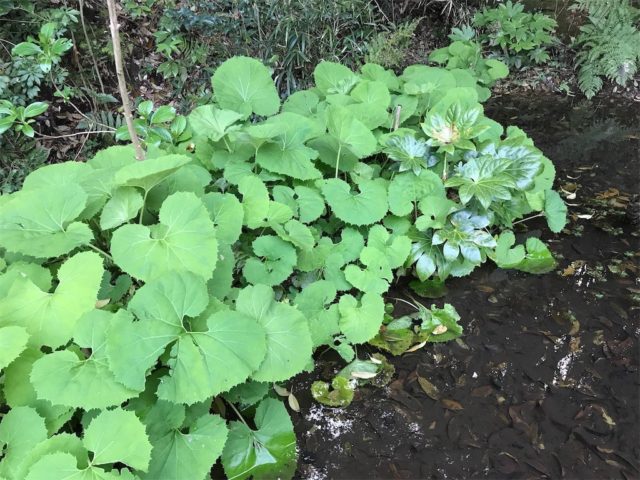 20200329205948 20200329205948