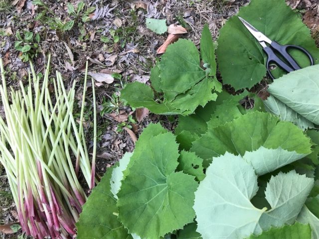 20200329210540 20200329210540