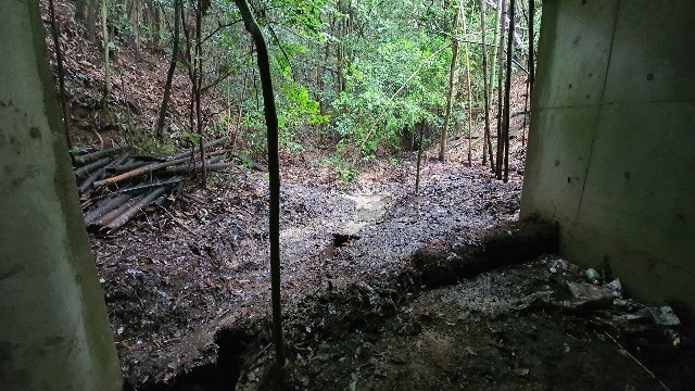 20200726205748 20200726205748