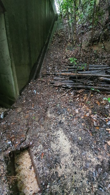 20200726205941 20200726205941