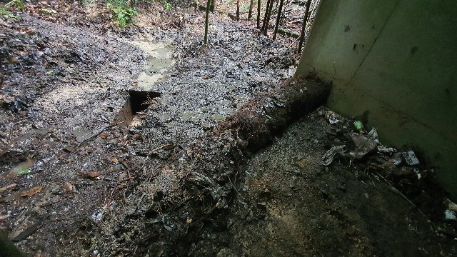 20200726211032 20200726211032