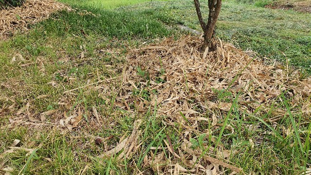 20200825182855 20200825182855