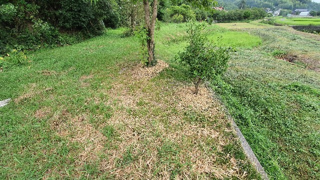 20200825182910 20200825182910